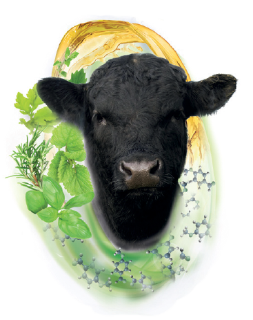 BIOMIN® Calf LIFE – neues Mineralfutter für vitale Kälber