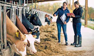 Maria Haring mit Tochter Katharina beim Kuhstall