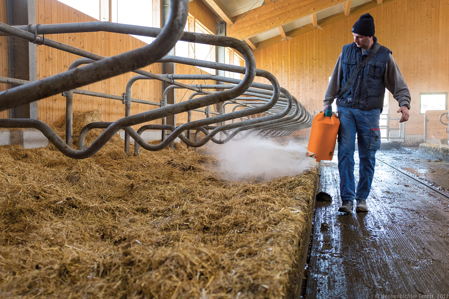 Ein Mann in einer Scheune läuft an Stalleinrichtungen vorbei und verteilt mit einem orangefarbenen Streuer feines Material auf den Boden; Dampf steigt von der Einstreu auf