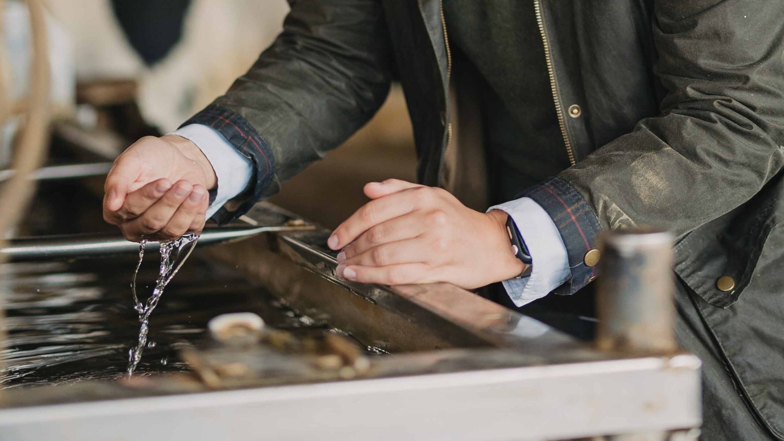 Eine Person in einer grünen Arbeitsjacke hält eine Metallkette über einen mit Wasser gefüllten Metalltrog mit Fischen