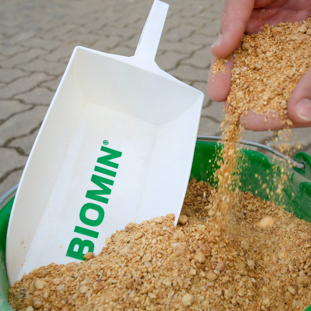 insatz eines Mastminerals mit 10 % Lysin