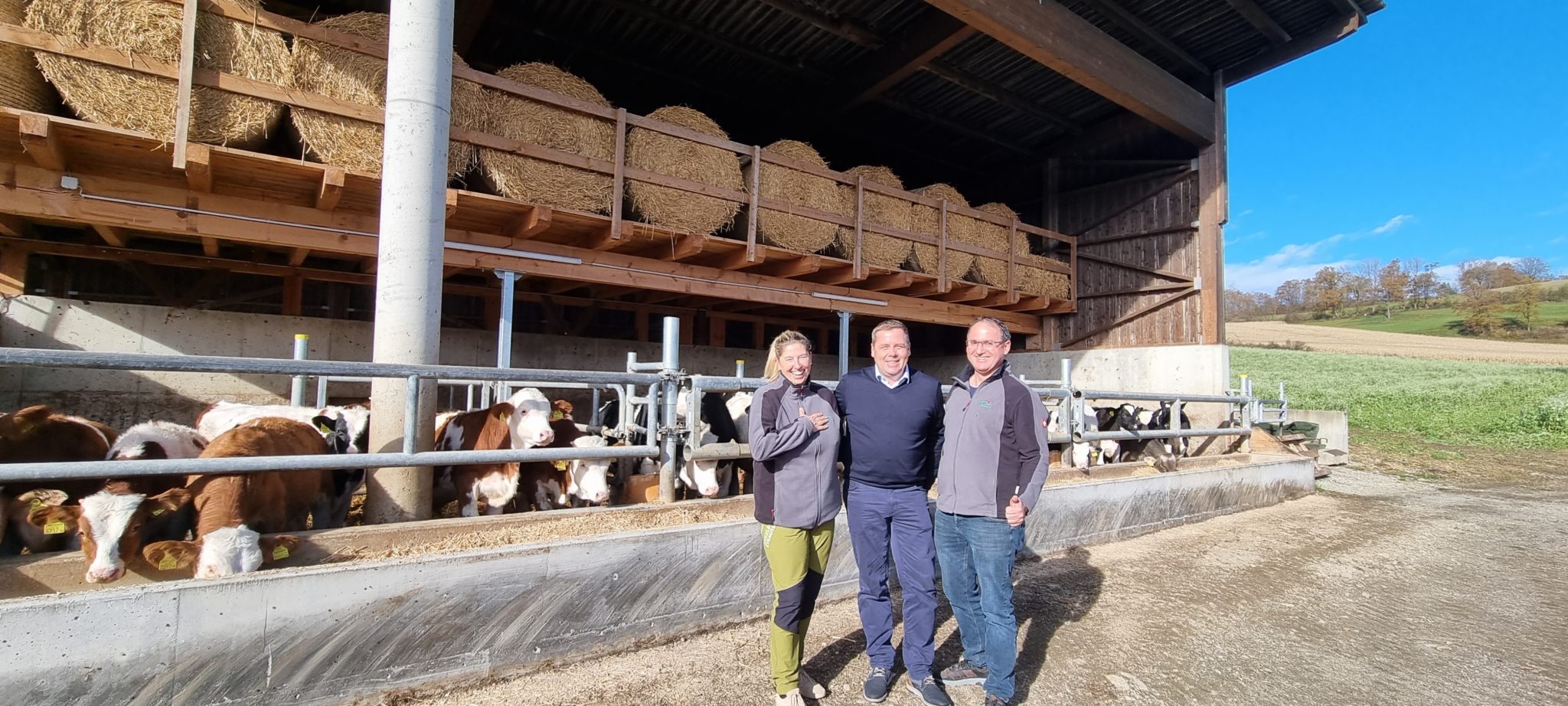 Erfolgreiche Kalb- Rosé und Rindermast in Kärnten