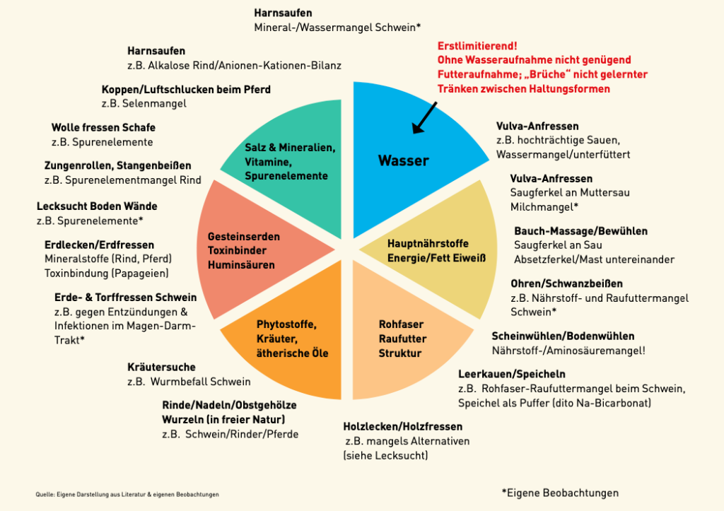 Abbildung 1: Selbsterhalt & Verhaltenskompass, Lechner 2023