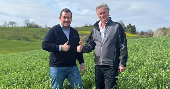 Grünschnittroggen in der Schweineproduktion