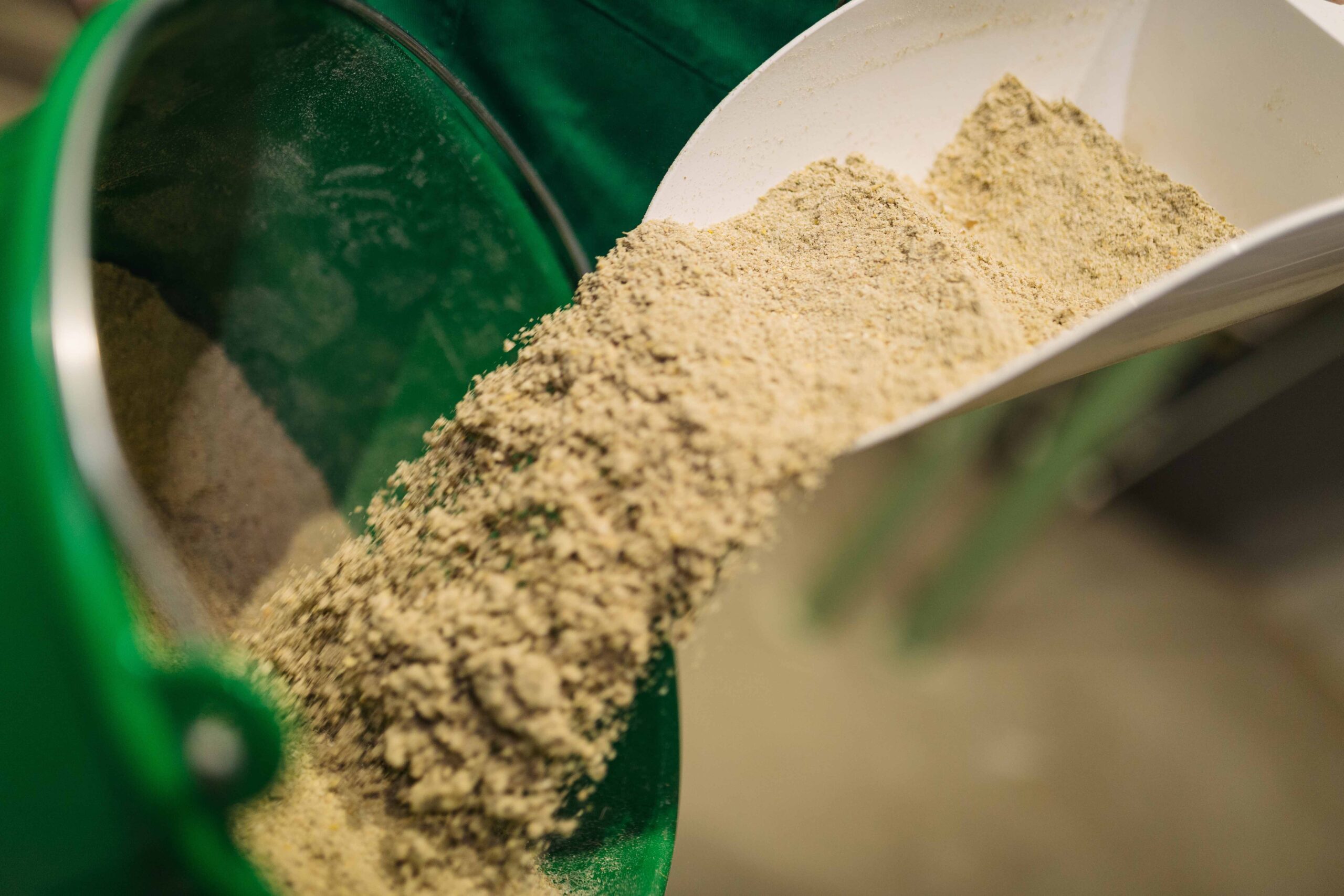 Trockene Maissilagen