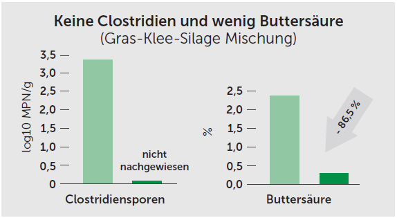 Zwei Balkendiagramme zur Silagequalität: Mit BIOMIN® BioStabil Plus HC sind keine Clostridiensporen nachweisbar und der Buttersäuregehalt ist um 86,5 % reduziert im Vergleich zur Kontrolle.