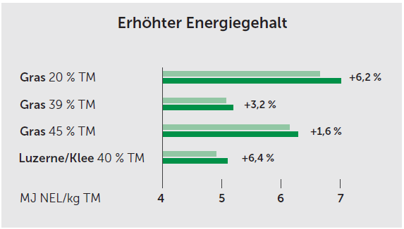 Balkendiagramm zum Energiegehalt (MJ NEL/kg TM) verschiedener Silagen. Mit BIOMIN® BioStabil Plus HC steigt der Energiegehalt je nach Ausgangsmaterial um +1,6 % bis +6,4 %, am stärksten bei Luzerne/Klee und Gras mit 20 % TM.