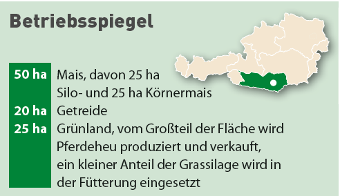 Betriebsspiegel vom Betrieb Koberer