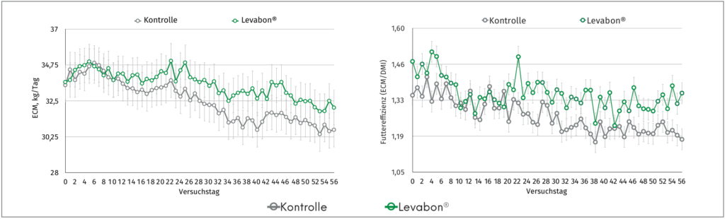 Zwei Liniendiagramme zeigen Milchleistung (ECM) und Futtereffizienz über 56 Versuchstage: Kühe mit Levabon® (grün) liegen durchgehend über der Kontrollgruppe (grau).