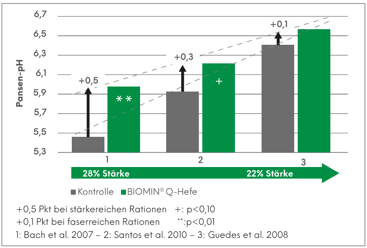 Balkendiagramm zum Pansen-pH: Mit BIOMIN® Q-Hefe ist der pH-Wert in drei Studien höher als in der Kontrolle, besonders bei stärkereichen Rationen.