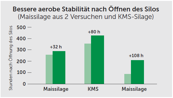 Balkendiagramm zur aeroben Stabilität nach Öffnung des Silos: Die dunkelgrünen Balken (BIOMIN® Biostabil Mays HC) zeigen längere Stabilitätszeiten als die Kontrollgruppe, mit Verbesserungen von +32 Stunden, +80 Stunden und +108 Stunden.